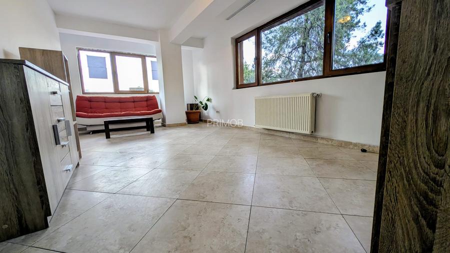 Luminos si spatios,stradal,bloc nou boutique,utilitati separate,renovat,curte - 3