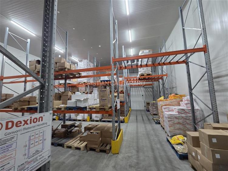 Inchiriere depozit frigorific congelare/hala/spatiu industrial Otopeni - Centura - 24