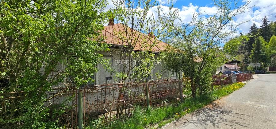 Vila Bușteni - 4