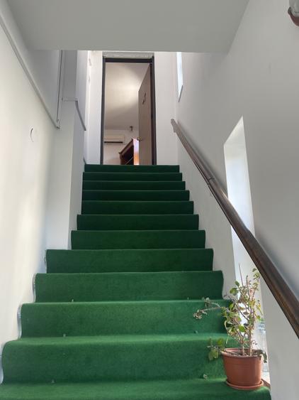 Apartament în vilă interbelică | Etaj 1 | Terasă + pivniță 15 mp | Zona Cașin
