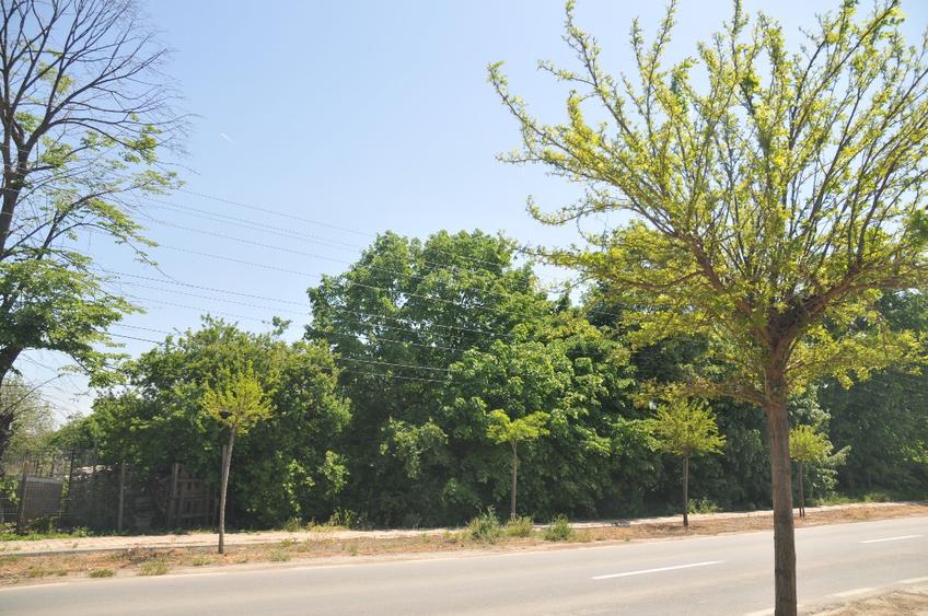 Teren 15000 mp,intravilan, deschidere 76 ml la DN 5A , com.  Hotarele,