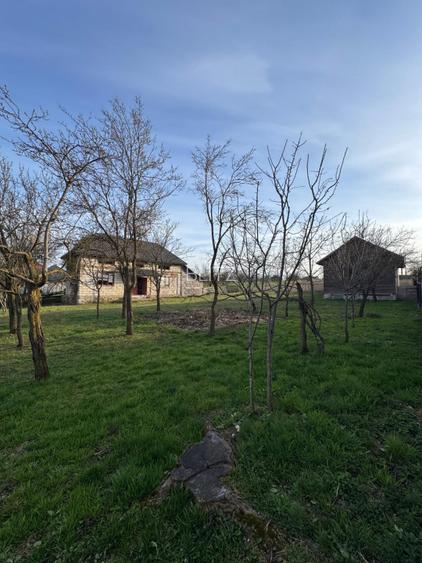 Casă Asuaju de Sus, 47 ari teren, investiție, necesită renovare - 3