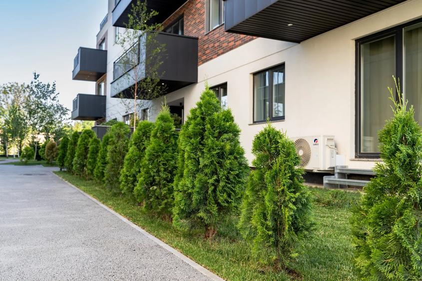 2 CAMERE PIPERA - LANGA PADUREA BANEASA