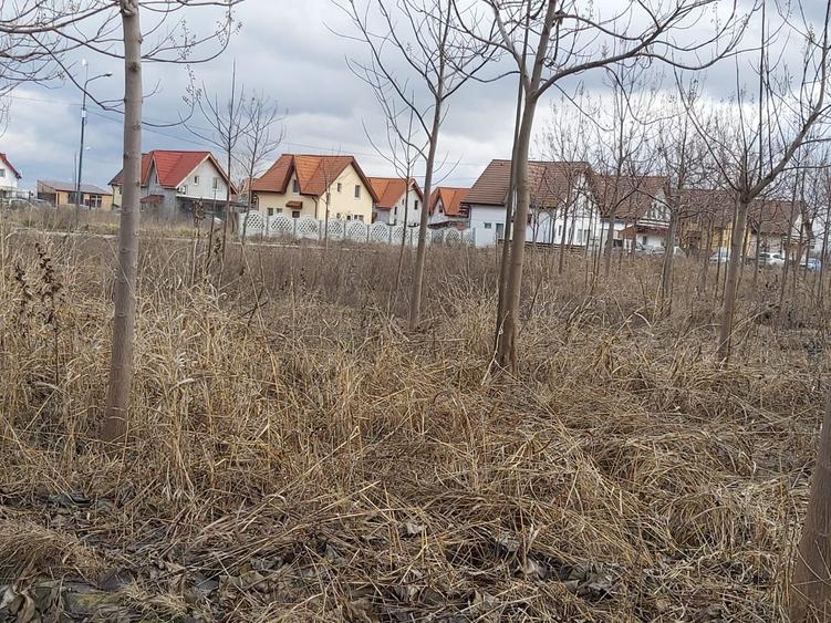 Loturi de teren pentru constructii de case in Paradise Valey