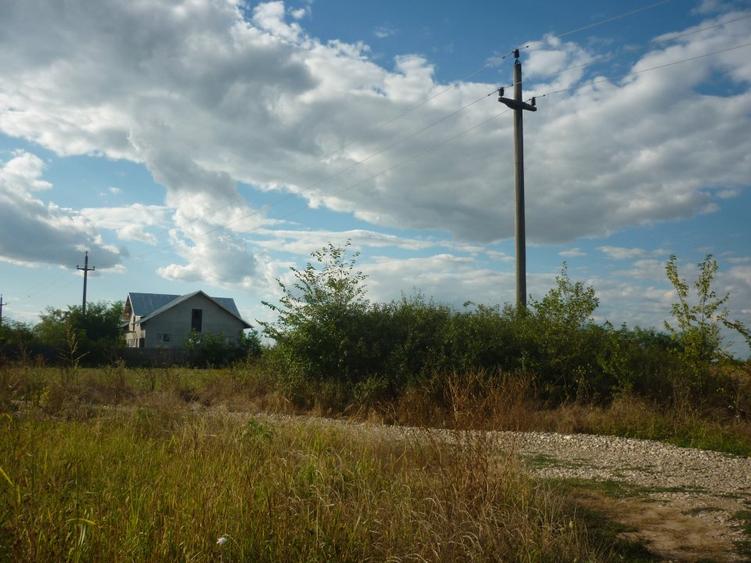 Teren 5000 mp,Niculesti –Peris –Ilfov