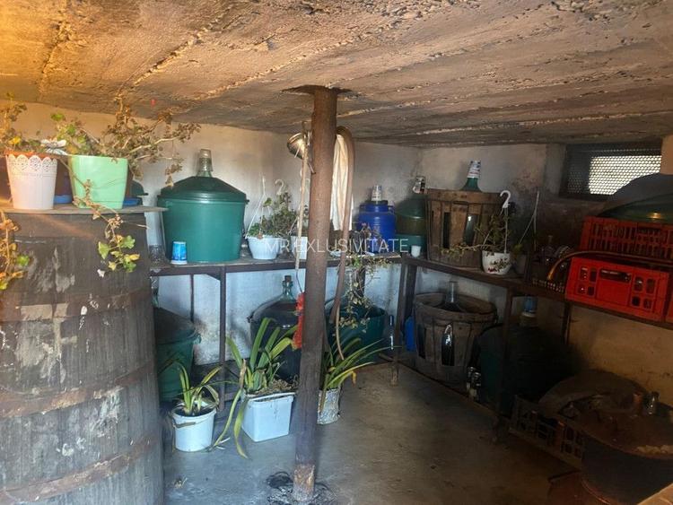 Proprietate cu potențial turistic și agricol | 7.661 mp|Șomanești-GORJ - 16