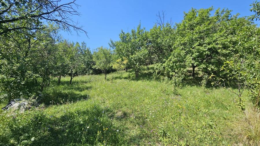 0 % comision, Lot format din 3 parcele, zona Antonio Gaudi-Borhanci