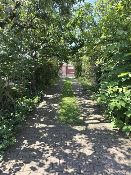 Duplex exclusivist | Andrei Muresanu, Piata Engels | 5 camere