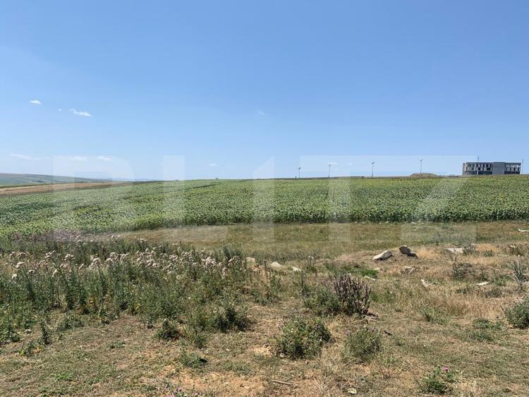 Teren extravilan de vanzare, 5 parcele, Scheia