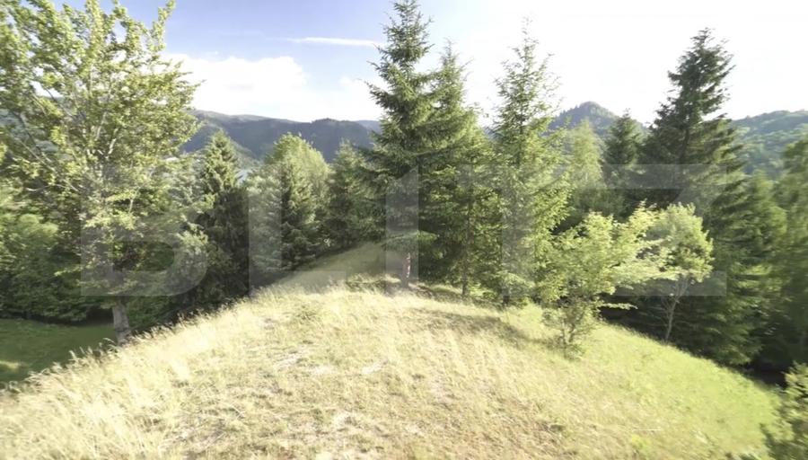 Teren intravilan de top – Colibița | 16.945 mp | Panoramă munți si lac