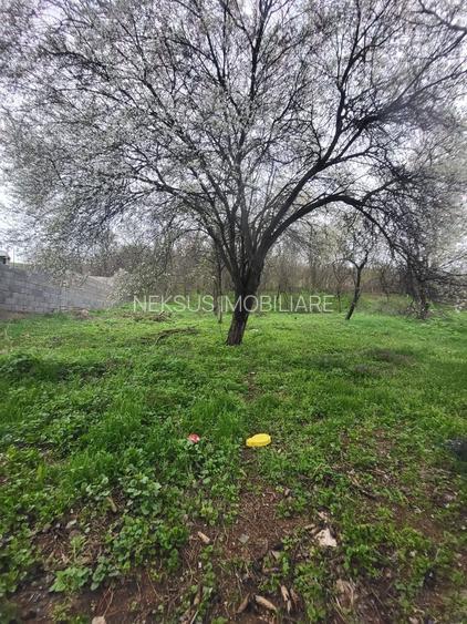 OPORTUNITATE!!! CASA DE VANZARE IN CÂLNIC LA 35.000 EURO - 9