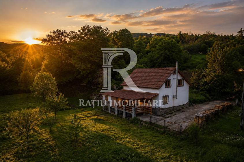 Proprietate Unică în Natură | Teren Mare | Intimitate Totală