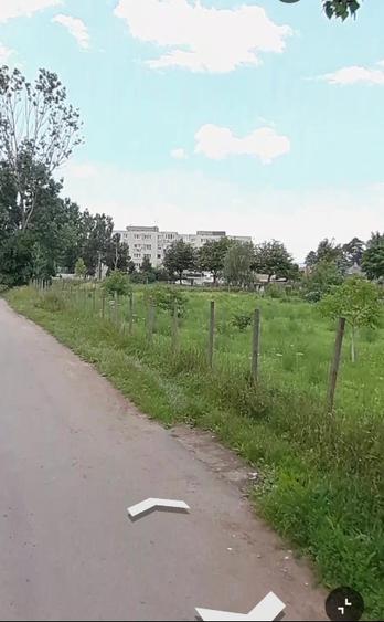 De vânzare: livadă de nuci pe teren intravilan.