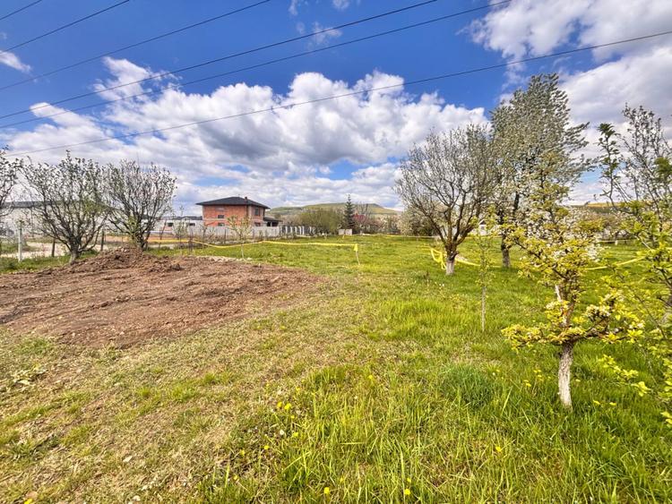 Teren intravilan 550 mp – Unirea