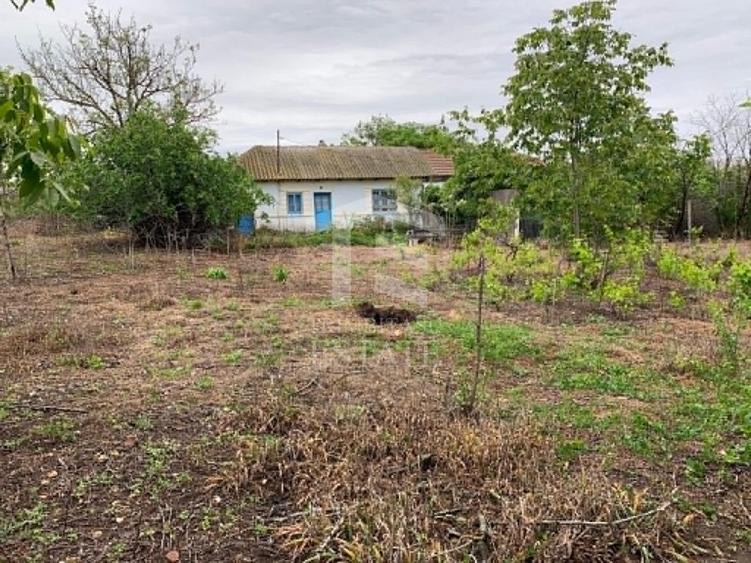 Teren intravilan 2562mp Loc 23 August | Ideal locuiță sau casă vacanță