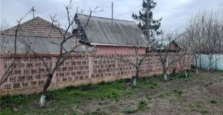 Teren pentru constructii case de vanzare Iasi Prisacani - 5