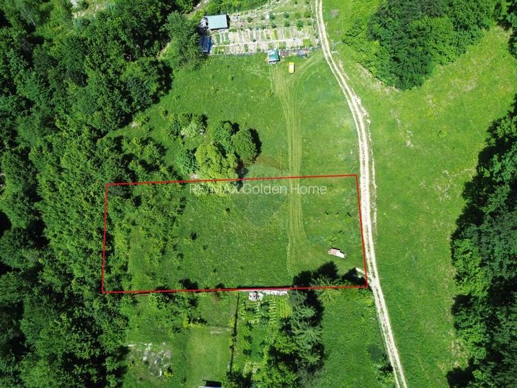 Teren 1,500mp Lepsa / Strada Manastirii - 2