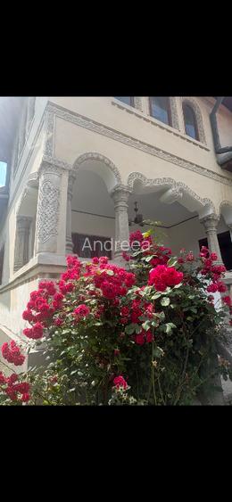 Casa Stil neoromanesc - 8