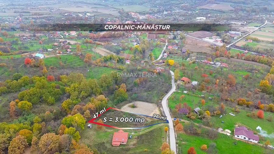 Teren intravilan de vânzare – Copalnic Mănăștur – 3.000 mp - 4