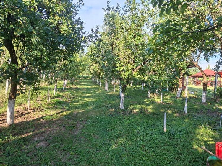 Teren intravilan zona Viile Satu Mare  - 6