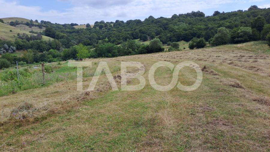 Teren de vanzare langa padure 15600 mp in Hamba Sibiu