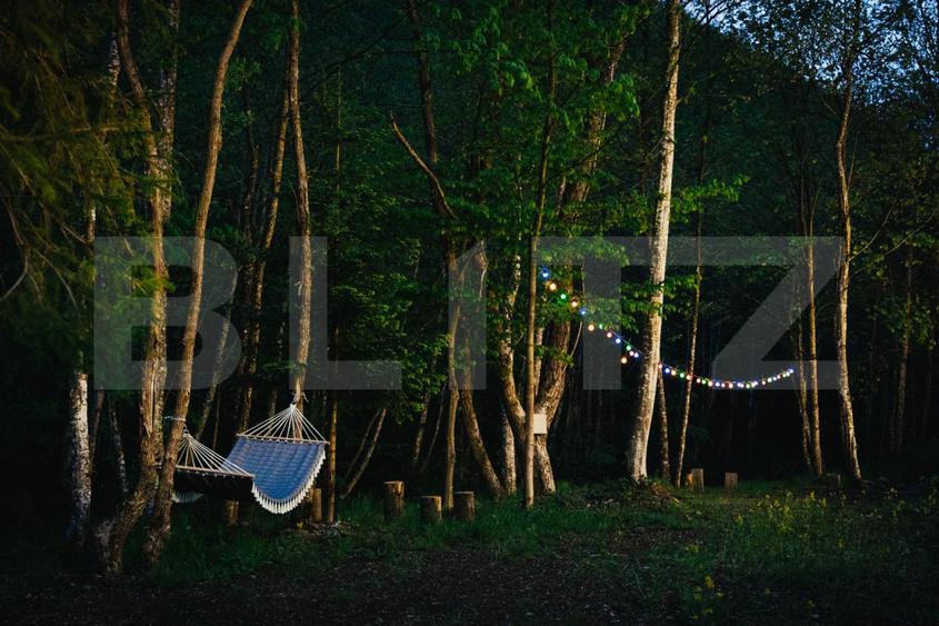 Resort montan premium de vanzare - Colibita
