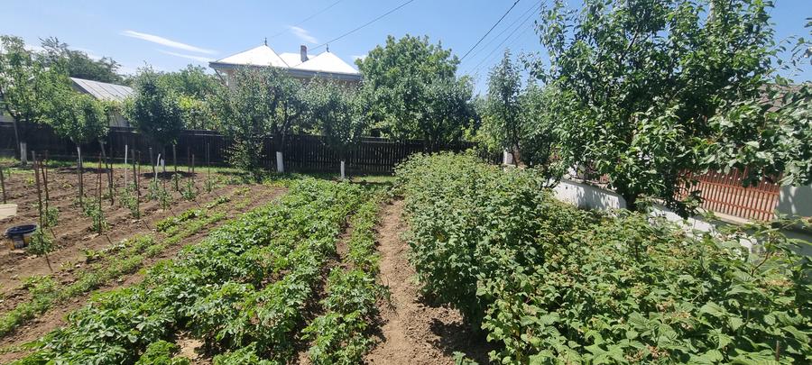 Casa cu etaj zona Bucovina