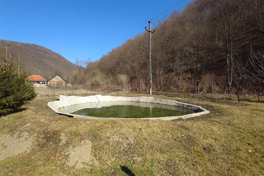 Iaz de vanzare in Apuseni- cazare, agrement si pescuit la DN74