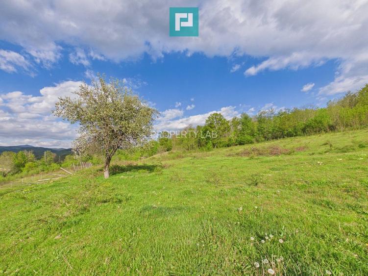 Casă cu teren de 17.681 mp, în loc. Hălmăgel, Arad - 23