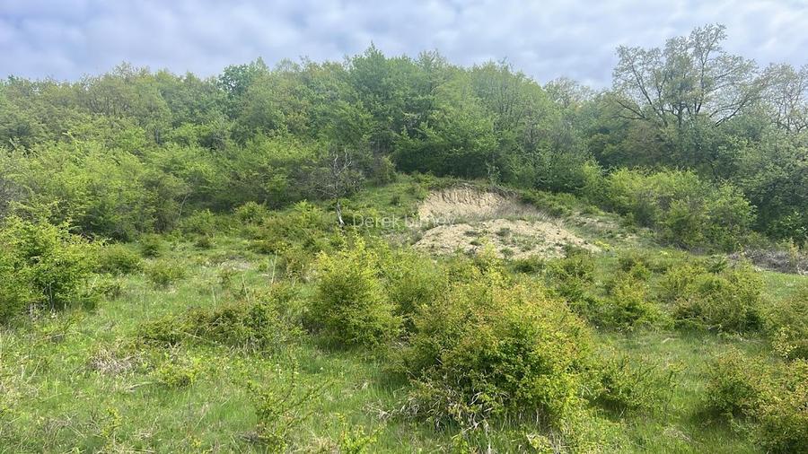 Teren intravilan Corunca – 1000 mp – vedere panoramică 180° + acces pădure – ult - 5