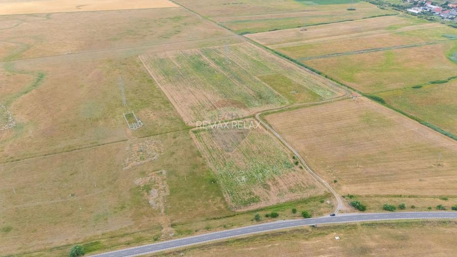 OPORTUNITATE DE INVESTITIE: 4,1 HA - EXTRA lângă Vaslui! 0%COMISION - 5