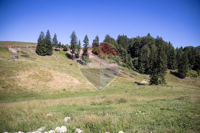 Teren premium– 52.519 mp Dâmbovicioara, Argeș DN73 viitor intravilan - 22