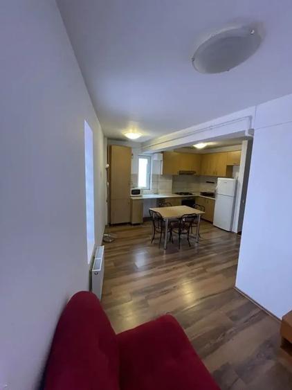 Apartament 1 camera 46 mp - Zona Platinia - Central