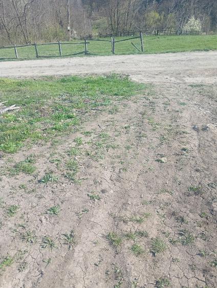 Vând terenuri,intravilane și extravilane !!!