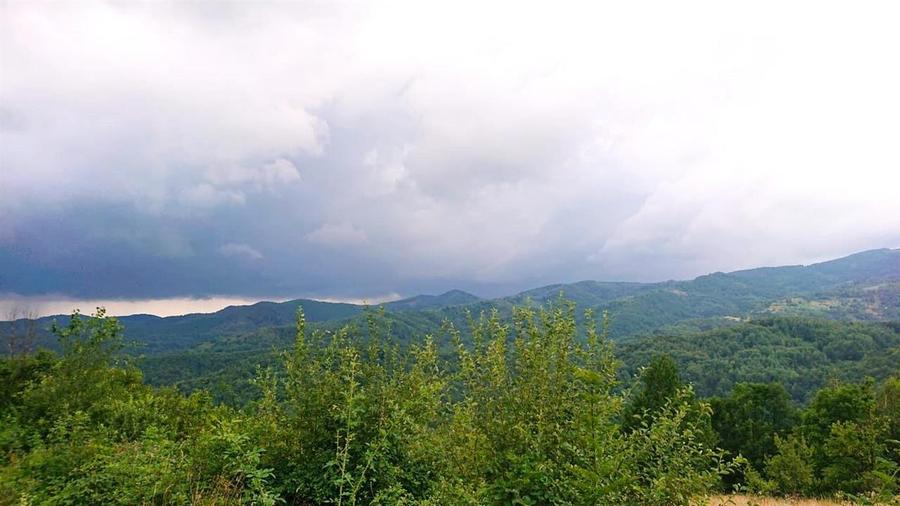 Teren cu Padure in Bulzestii de Sus 4200mp