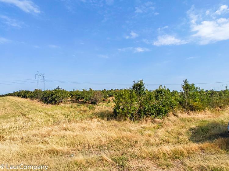 Parcele Teren Extravilan Livada si Pasune Lunca Corbului  Arges