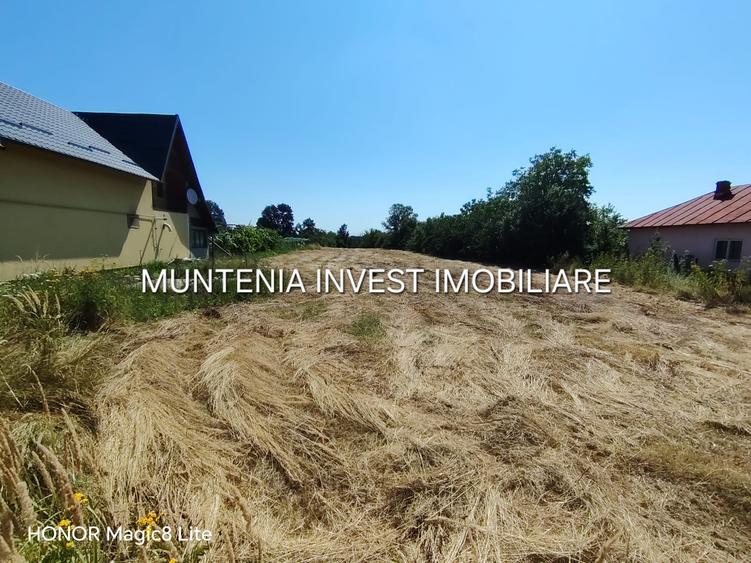 Teren intravilan 4405 mp. Poiana Lacului