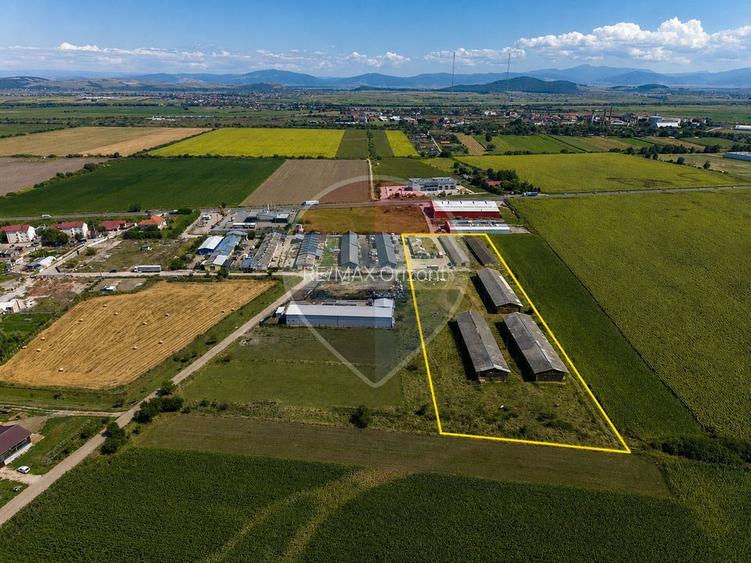 17.500 mp pe DN13 cu 5 constructii existente - 5