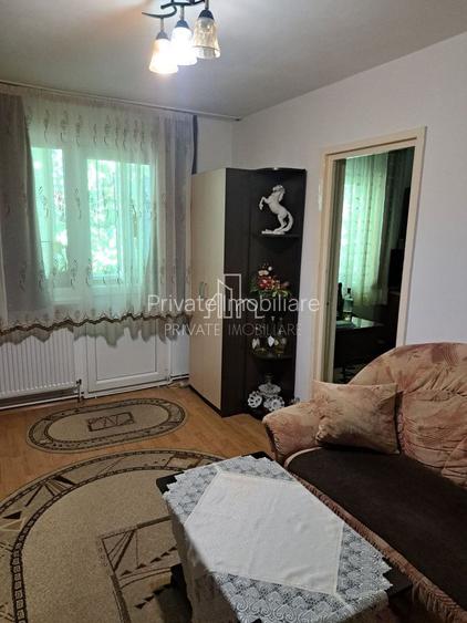 Apartament 3 Camere Mobilat De Vanzare, Str Petru Dobra, Dambu - 2