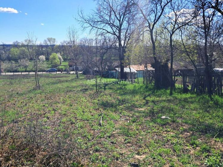 TEREN INTRAVILAN ȘI EXTRAVILAN POLOVRAGI - 6
