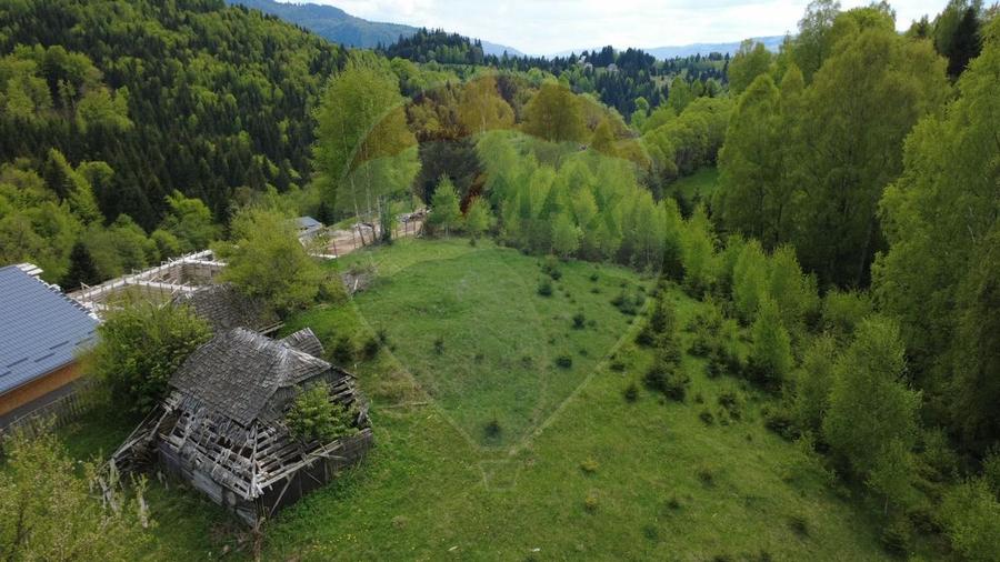 Teren 38,704mp Sirnea | 2.000 mp Intravilan | 36,704 Extravilan