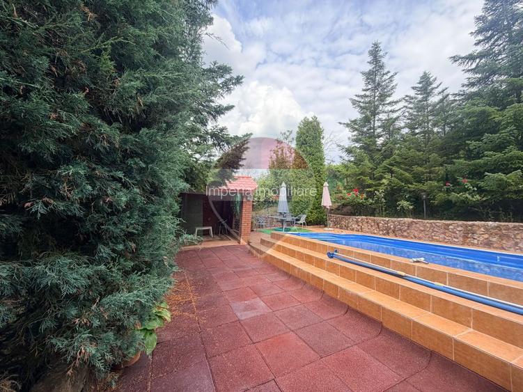 Leamna de sus, casa cu piscina, 2000mp - 9