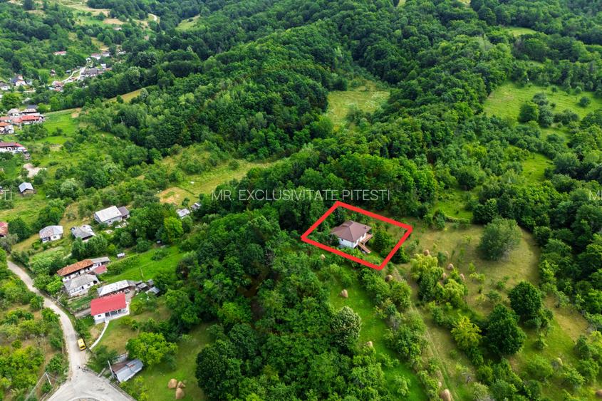 Casa moderna si casa bunicii + 6300 mp teren,Oaza autentica in Corbi Arges- - 2