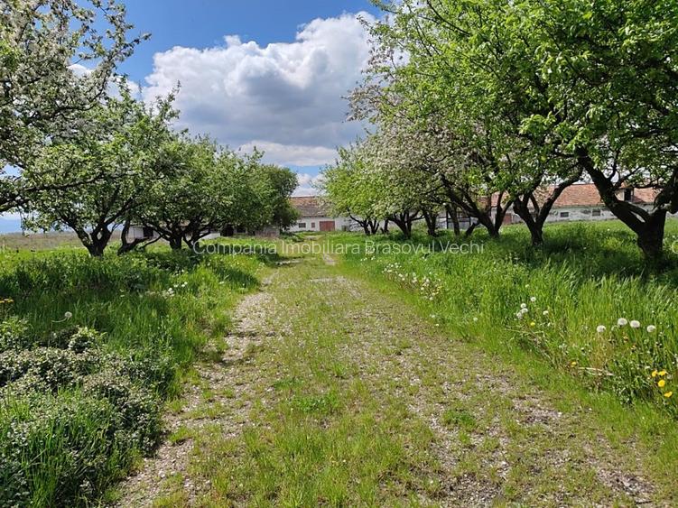Teren parcelabil, 4,1 Ha, Brașov - Bod. Negociabil! - 4