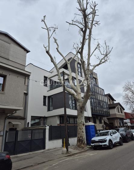Vila | Parcul Carol | Rezidential/Comercial | - 20