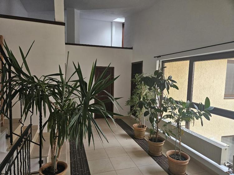 Domenii, vila individuala 6 camere,250mp