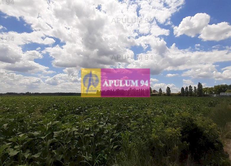 Teren 715mp în Snagov lângă Equestria