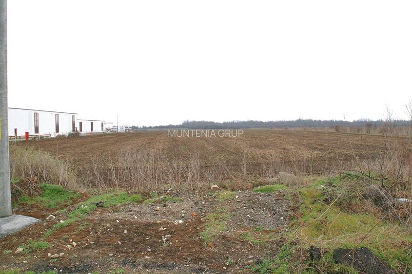 OTOPENI - Str. Drumul Garii Balotesti, 42100 mp. teren intravilan - 4
