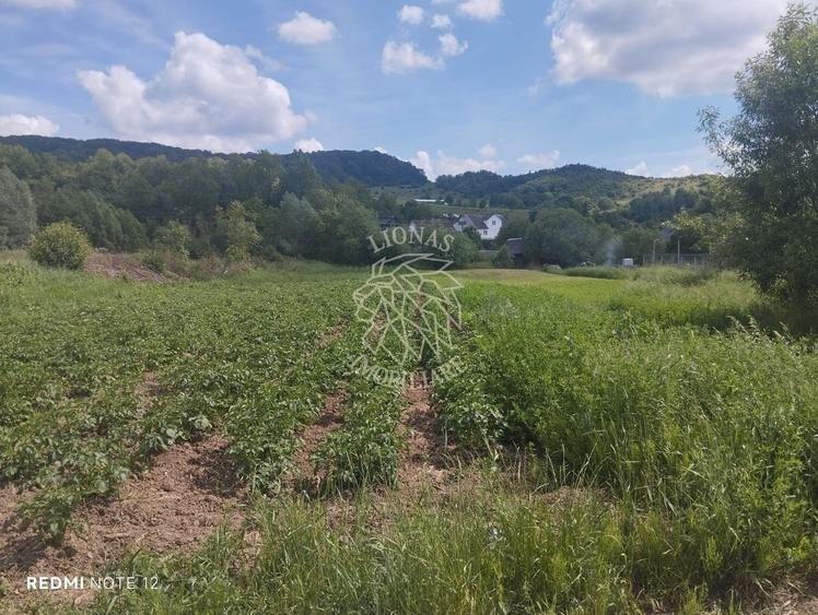Teren 5832 mp-ideal lac, investitie, cabana, gradina-Slatinita
