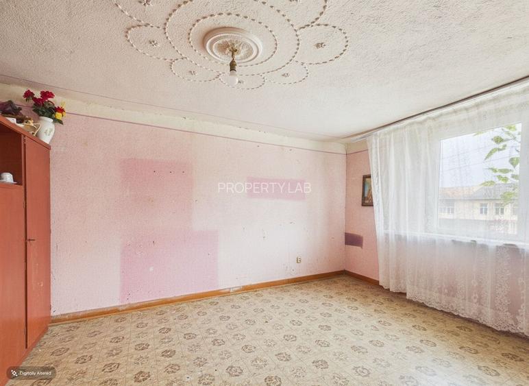 2 case cu teren de 2253 mp în Archiș - 3